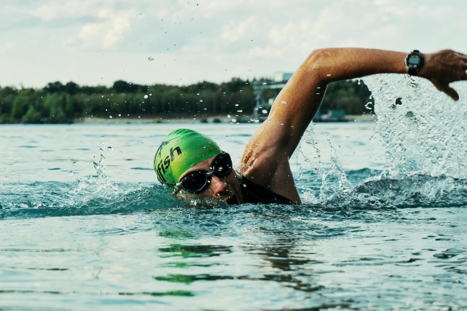 Men's Swimming